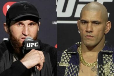 alex-pereira-magomed-ankalaev-ufc-mma