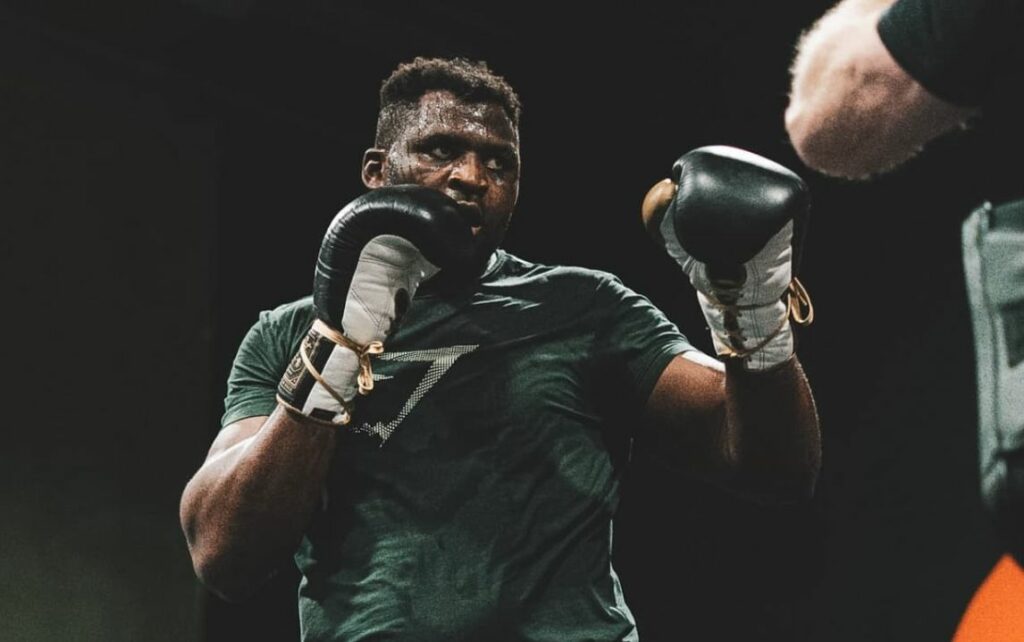 francis ngannou