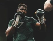 francis-ngannou-retour-possible-ufc-mma