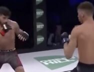 ilia-topuria-ufc-mma-vidéo