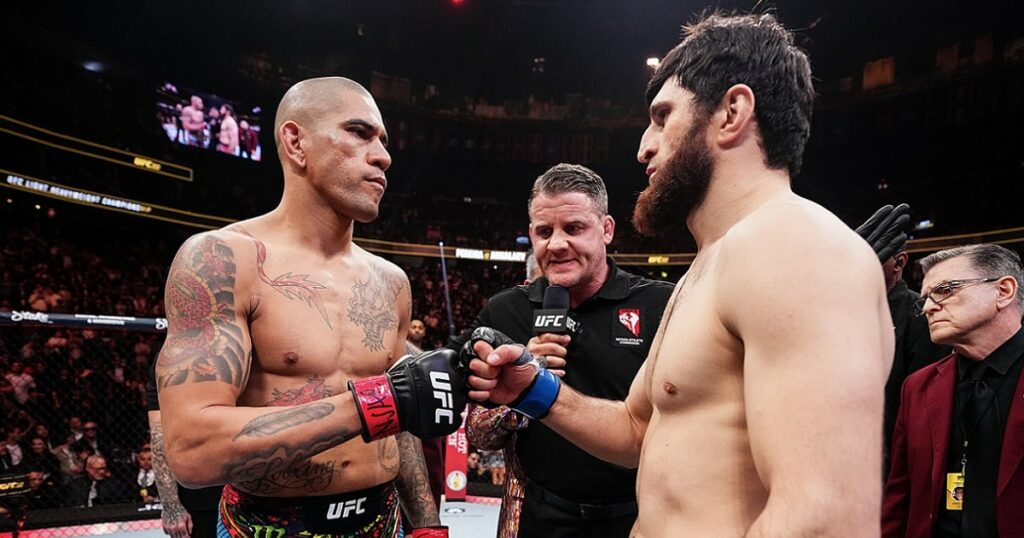 alex-pereira-magomed-ankalaev-favori-ufc