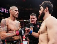 alex-pereira-magomed-ankalaev-favori-ufc