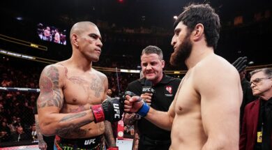 alex-pereira-magomed-ankalaev-favori-ufc