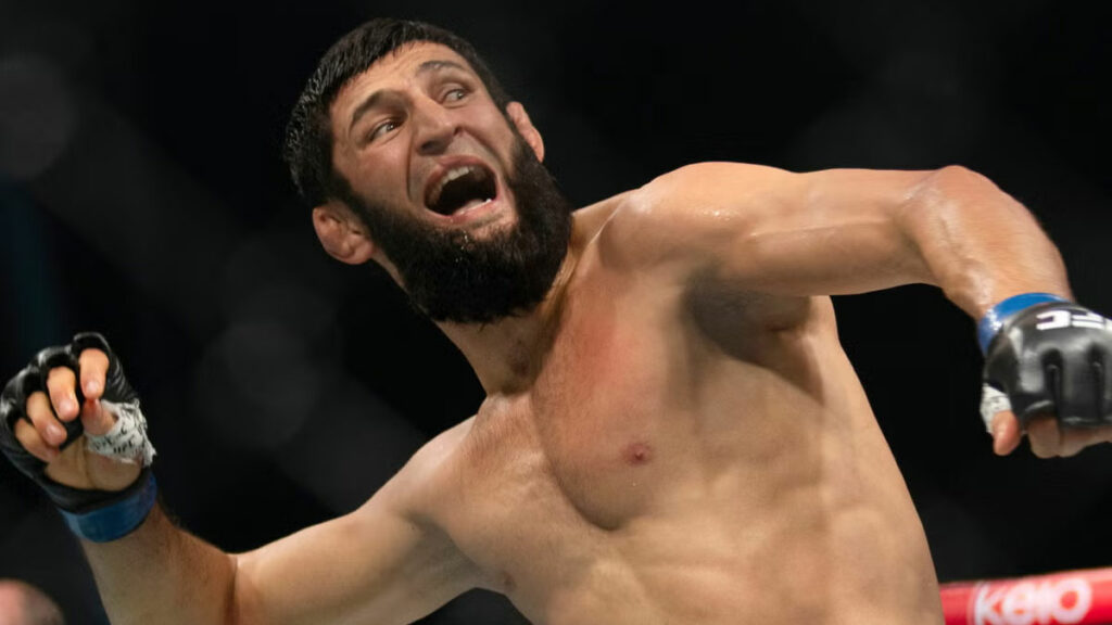 khamzat chimaev