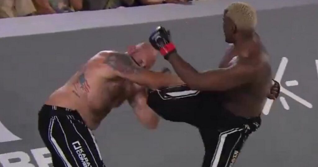 robelis-despaigne-KO-karate-combat