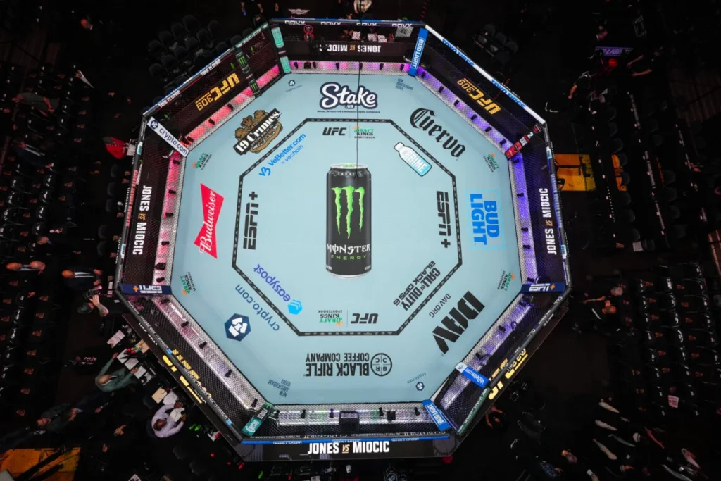 ufc 319