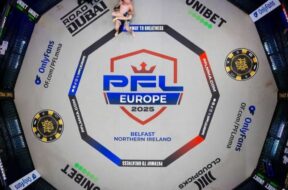 pfl-nantes-français-carte-mma