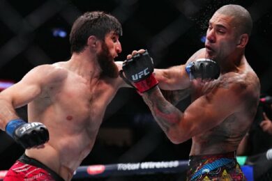 Alex-Pereira-Ankalaev-premier-affrontement-ufc