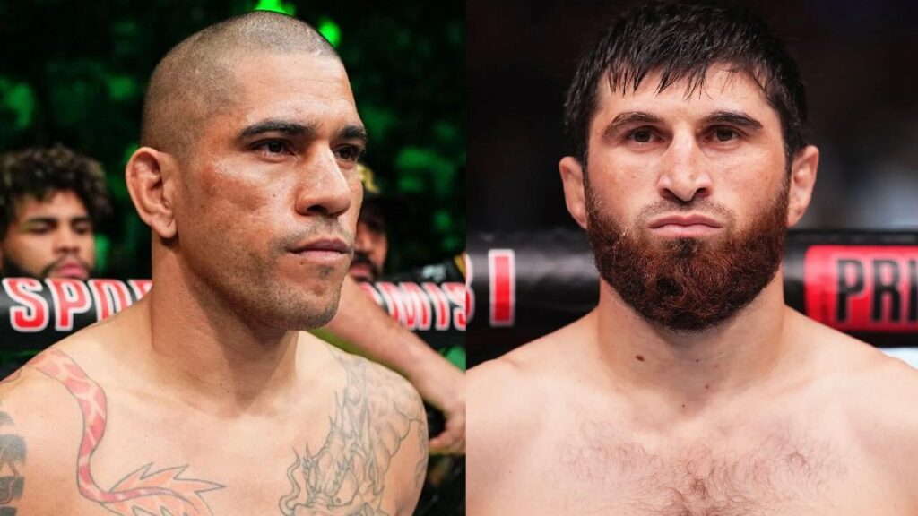 Poirier pronostique Pereira vs Ankalaev