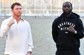Canelo-Alvarez-Crawford-Surace