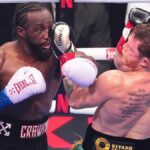 Netflix dévoile les chiffres de Canelo vs Crawford : loin derrière Mike Tyson vs Jake Paul Netflix dévoile les chiffres de Canelo vs Crawford : loin derrière Mike Tyson vs Jake Paul