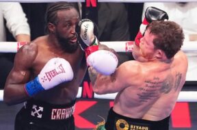 canelo-alvarez-terence-crawford-chiffres-netflix-boxe