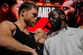 canelo-alvarez-terence-crawford-salaire-statistique-folle-boxe-ufc-mma