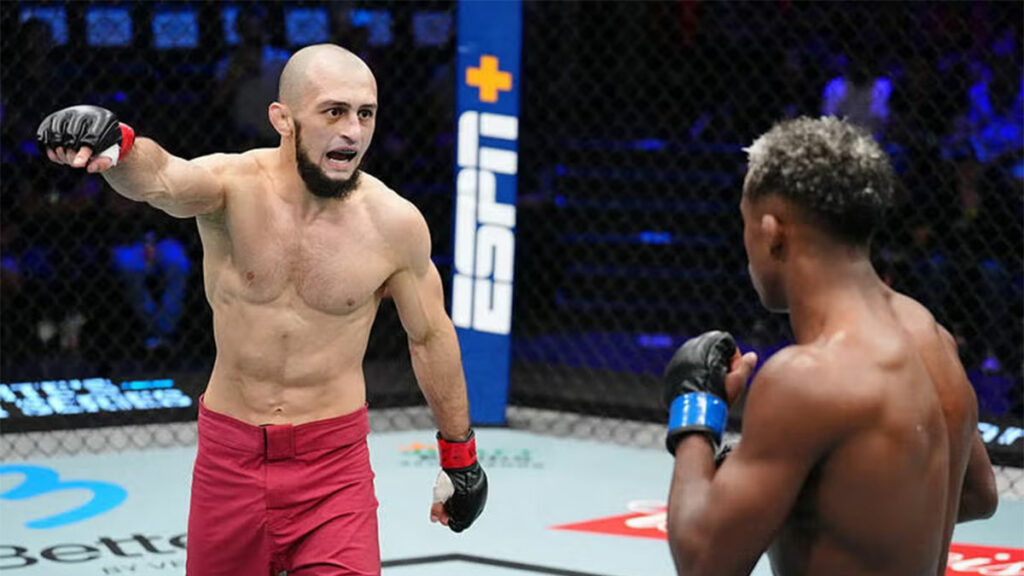 khabib nurmagomedov rashid vagabov