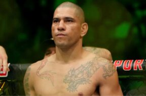 alex-pereira-répond-cash-coach-magomed-ankalaev-puissance-ufc-320-mma