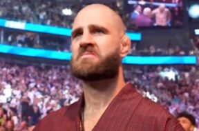 jiri-prochazka-explique-pourquoi-il-a-pleuré-quand-alex-pereira-a-battu-magomed-ankalaev-ufc-320-mma