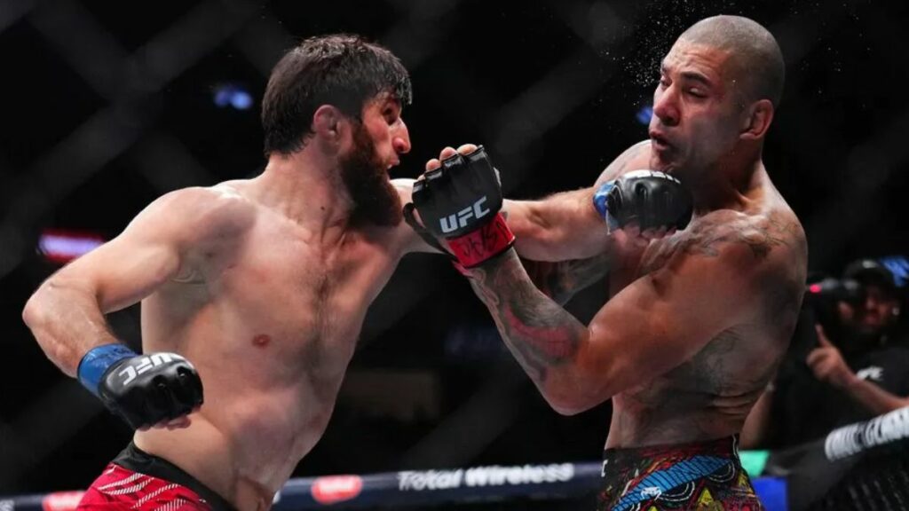 Les pronostics des combattants de l’UFC pour Magomed Ankalaev vs Alex Pereira 2
