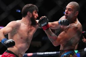 les-pronostics-combattants-ufc-magomed-ankalaev-alex-pereira-2-ufc-320-mma