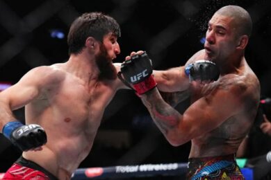 les-pronostics-combattants-ufc-magomed-ankalaev-alex-pereira-2-ufc-320-mma