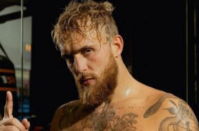 Jake-Paul-réponse-Francis-Ngannou-provocation-boxe-anglaise