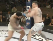 gable-stevenson-jon-jones