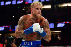 jake-paul-boxe-alex-pereira