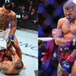 Scénario terrible à l'UFC 323 : Alexandre Pantoja se casse le bras en 26 secondes et perd sa ceinture alexandre-pantoja-bras-cassé-joshua-van-ufc-326