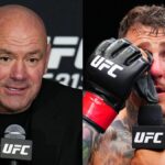 dana-white-pas-tendre-tom-aspinall-ufc