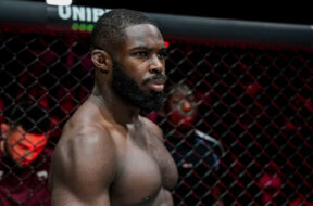 zebo-conserve-sa-ceinture-ares-38-mma