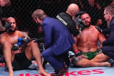 Critique-poids-lours-ancien-UFC