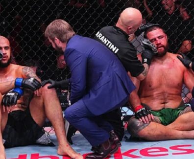 Critique-poids-lours-ancien-UFC