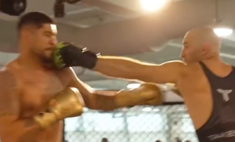 Alex-Pereira-sparring-hard-Sean-Strickland-pr&eacute;paration-combat-ceinture-lourd-middleweight-ufc