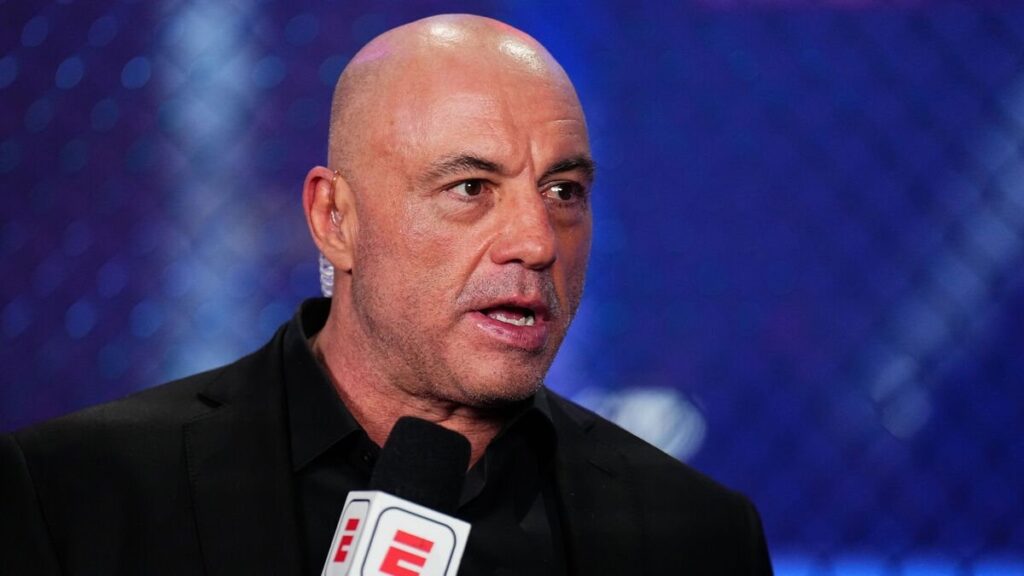 Joe Rogan donne son avis sur l&rsquo;arriv&eacute;e de Netflix dans le MMA