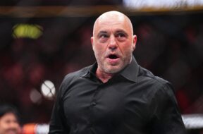 joe-rogan-impression&eacute;-par-arman-tsarukyan