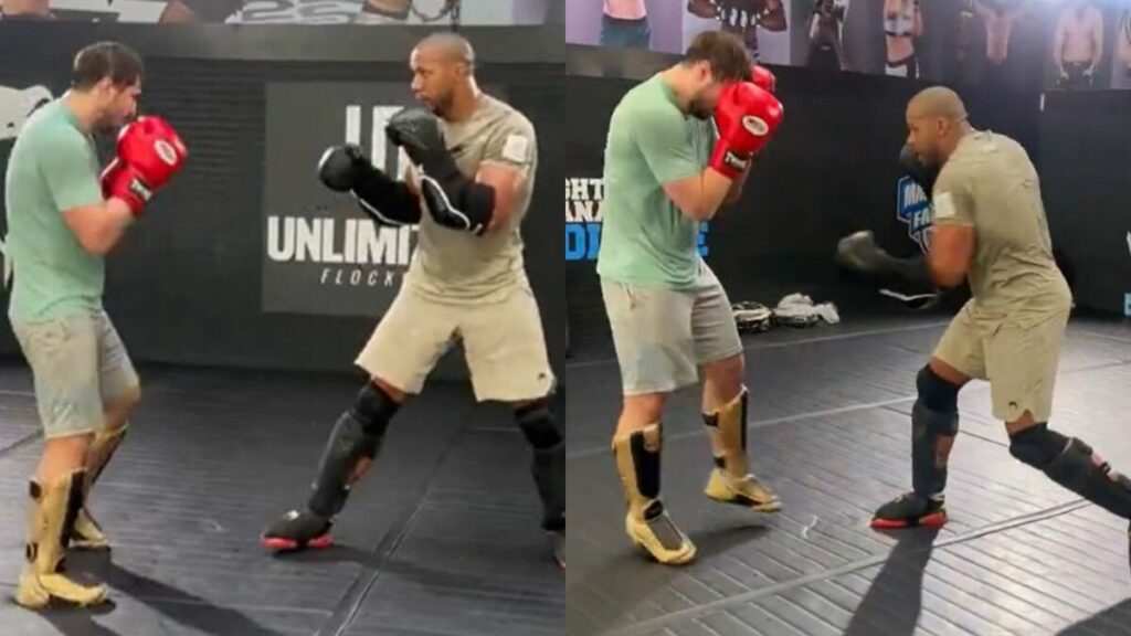 ciryl-gane-sentraine-artem-vakhitov-alex-pereira-ufc-maison-blanche