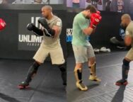 ciryl-gane-sentraine-artem-vakhitov-alex-pereira-ufc-maison-blanche