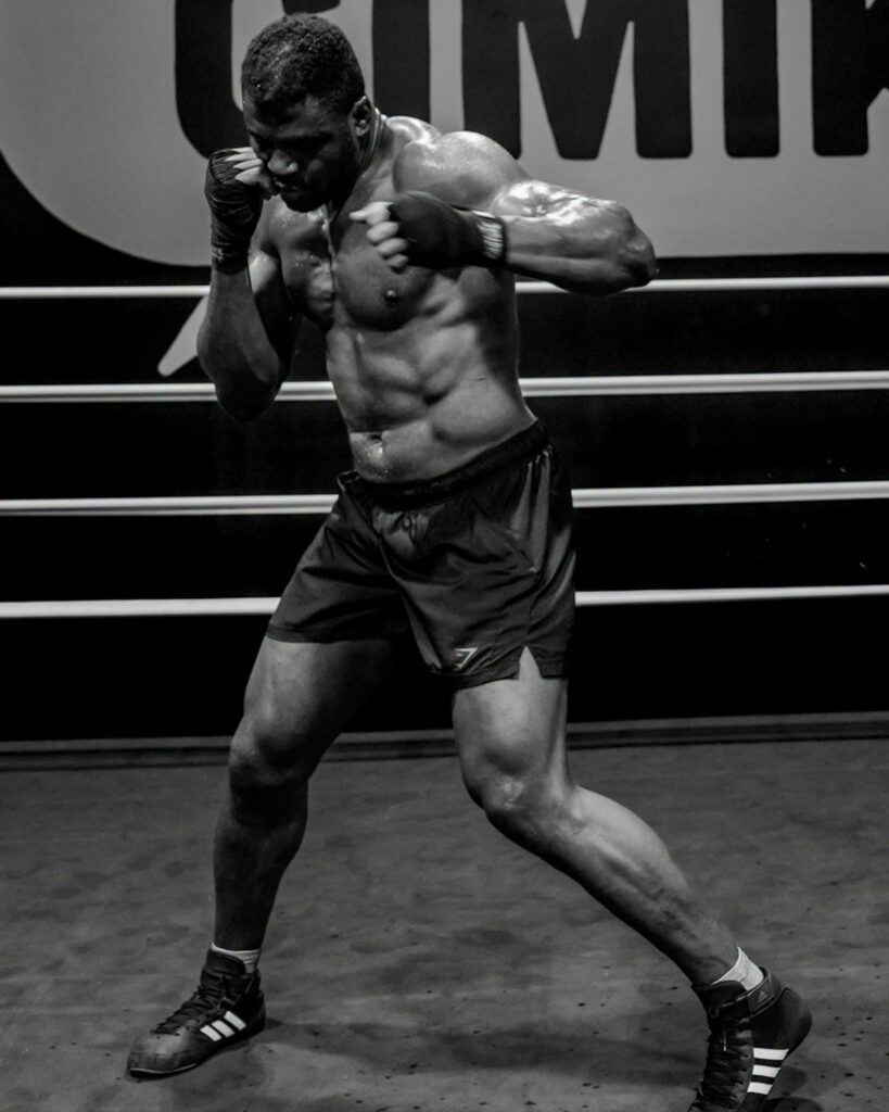francis ngannou