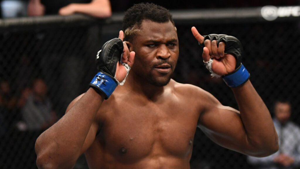francis-ngannou-call-out-curtis-blaydes-boxe