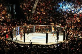 ufc-se-s&eacute;pare-v&eacute;t&eacute;ran-dix-neuf-combat-dans-organisation