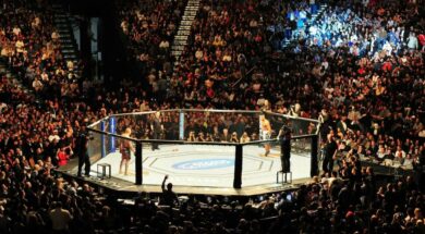 ufc-se-s&eacute;pare-v&eacute;t&eacute;ran-dix-neuf-combat-dans-organisation