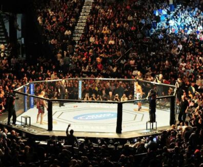 ufc-se-s&eacute;pare-v&eacute;t&eacute;ran-dix-neuf-combat-dans-organisation