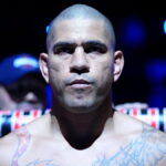alex-pereira-bruce-buffer-chat-noir-ufc-maison-blanche