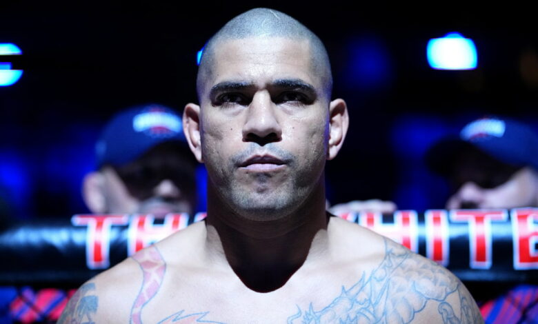 alex-pereira-bruce-buffer-chat-noir-ufc-maison-blanche