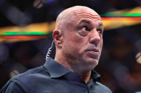 joe-rogan-reaction-pereira-gane