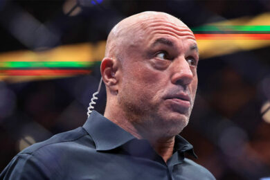 joe-rogan-reaction-pereira-gane
