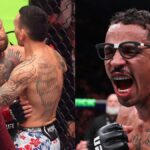 Carlos Prates se moque ouvertement de Conor McGregor après l'UFC 329 : "Ne te coupe plus jamais..." carlos-prates-se-moque-conor-mcgregor-ufc-329