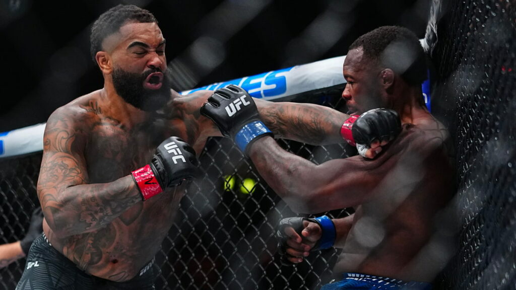 gable-steveson-ko-1er-round-ufc-329
