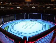 un-champion-signe-ufc-pr&eacute;avis-une-semaine