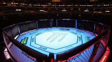 un-champion-signe-ufc-pr&eacute;avis-une-semaine