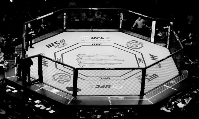 Un-combattant-de-l-UFC-est-d&eacute;c&eacute;d&eacute;-UFC-MMA
